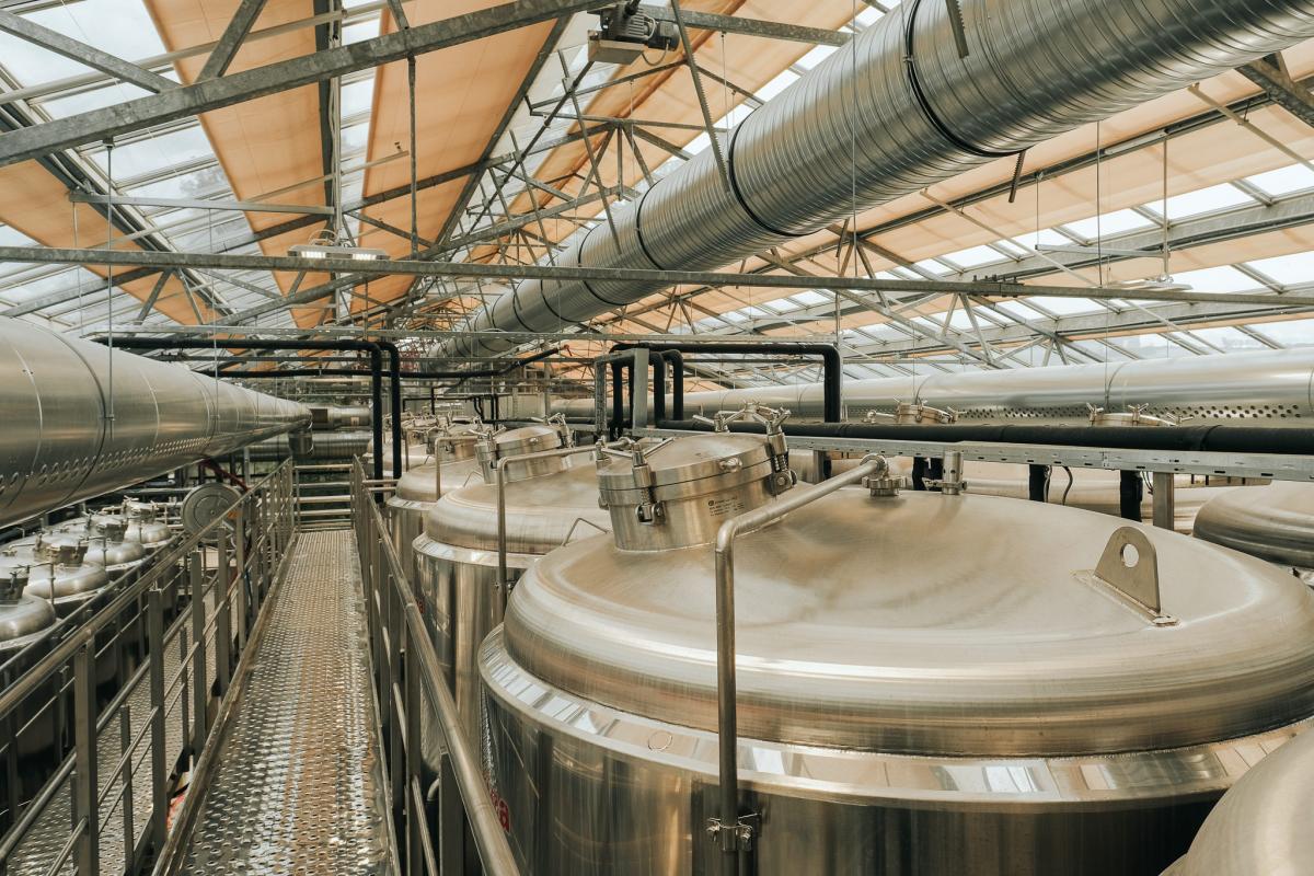 tgb-2022-04-23-brewery-14.jpg